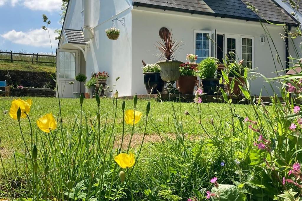 Cargibbitt Annexe Villa Liskeard Buitenkant foto